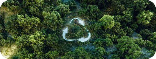 Mata verde, simbolizando a Política Ambiental Saks