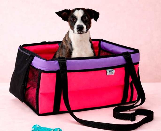 Cachorro em bolsa de transporte colorida